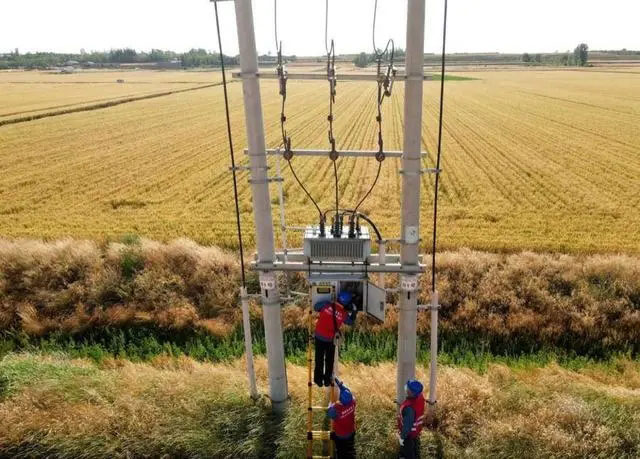 配電箱助力“電力?！报D農(nóng)民有了“電力?！碑a(chǎn)業(yè)發(fā)展質(zhì)效